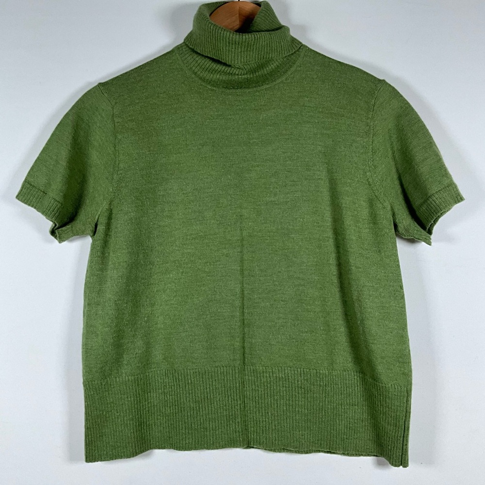 barrie pace 100% marino wool italian yarn size xl turtleneck green